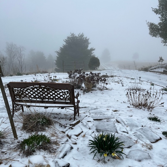 Wristlet/Cosmetic bag-Closet clear out! - Picture 2 of 7